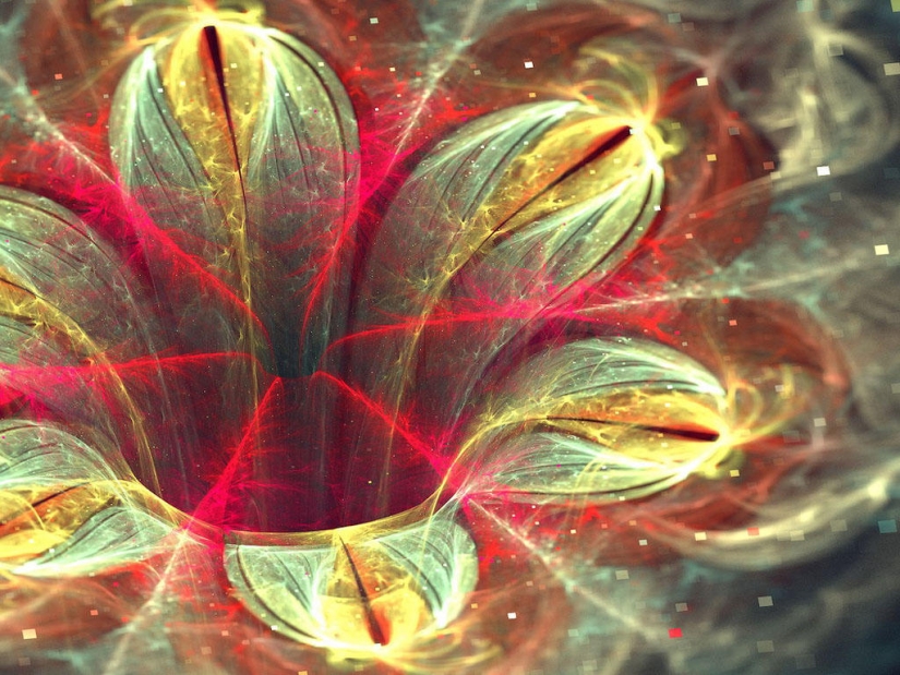 The Wonders of Fractal Graphics