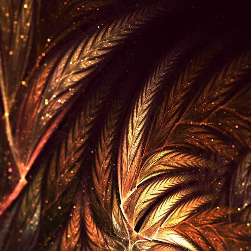 The Wonders of Fractal Graphics