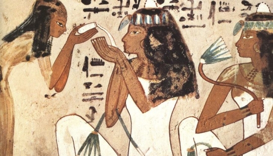 The world history of contraception: cobwebs, elephant dung and other effective means The world history of contraception: cobwebs, elephant dung and other effective means