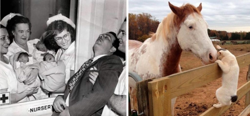 The world is better than you think: 35 emotional photos that prove it The world is better than you think: 35 emotional photos that prove it