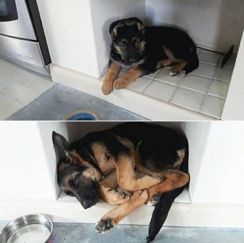 The world is better than you think: 35 emotional photos that prove it The world is better than you think: 35 emotional photos that prove it