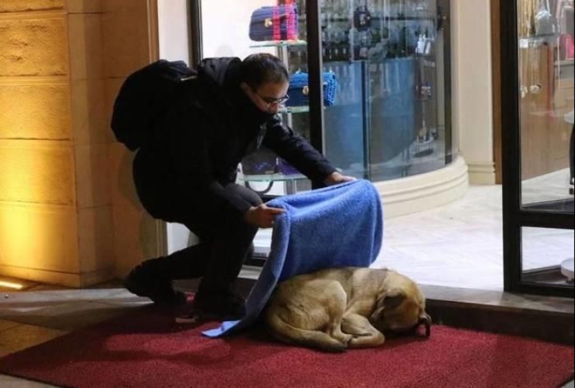 The world is better than you think: 35 emotional photos that prove it The world is better than you think: 35 emotional photos that prove it