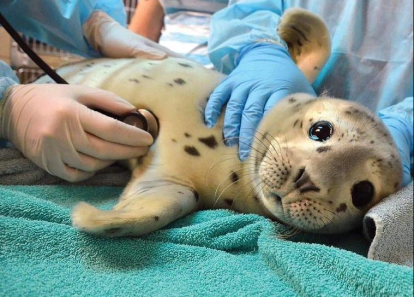 The world is better than you think: 35 emotional photos that prove it The world is better than you think: 35 emotional photos that prove it