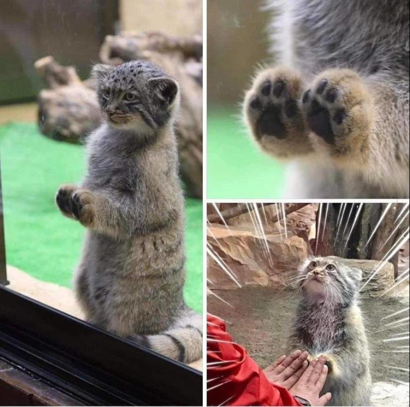 The world is better than you think: 35 emotional photos that prove it The world is better than you think: 35 emotional photos that prove it