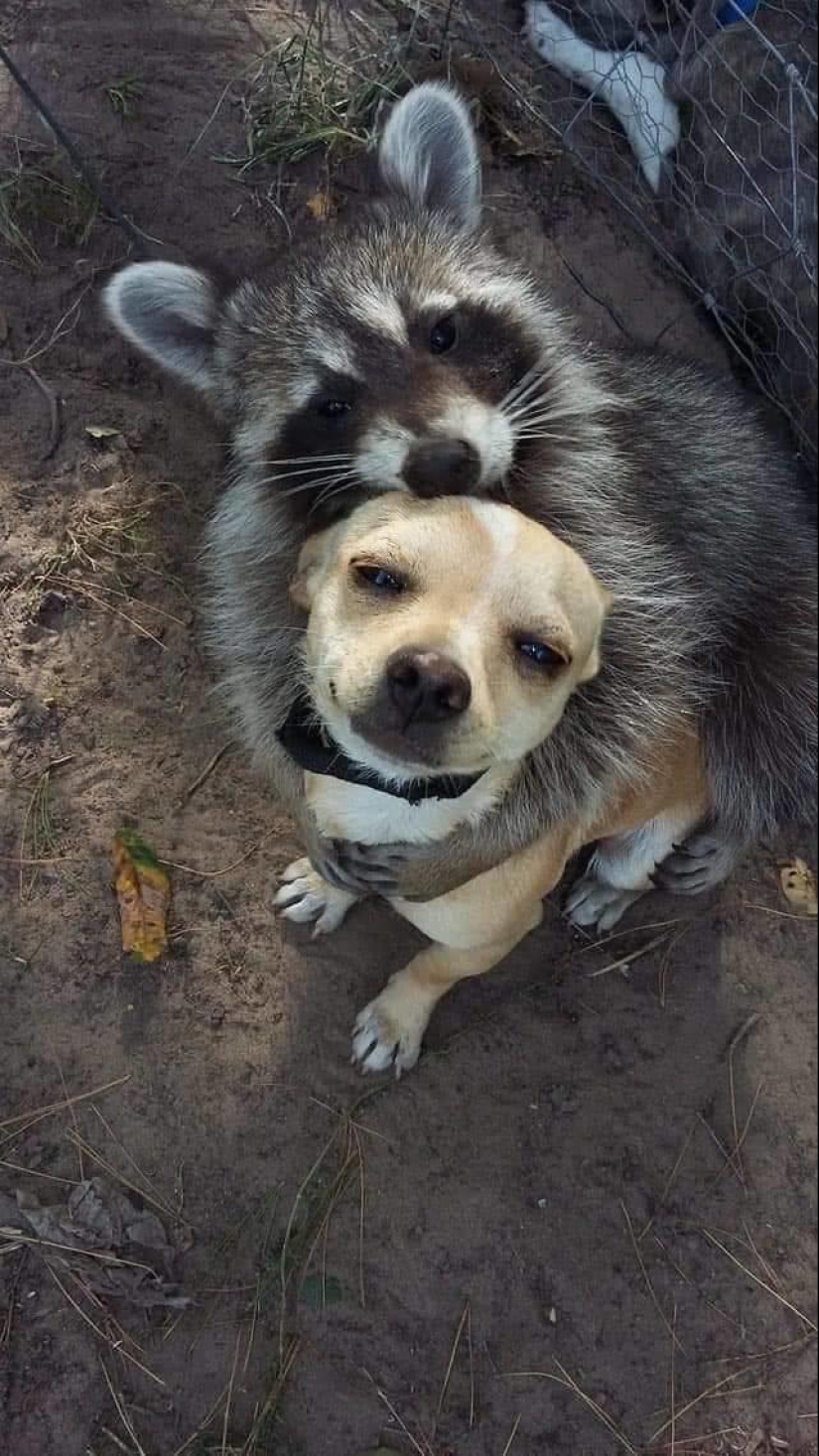 The world is better than you think: 35 emotional photos that prove it The world is better than you think: 35 emotional photos that prove it