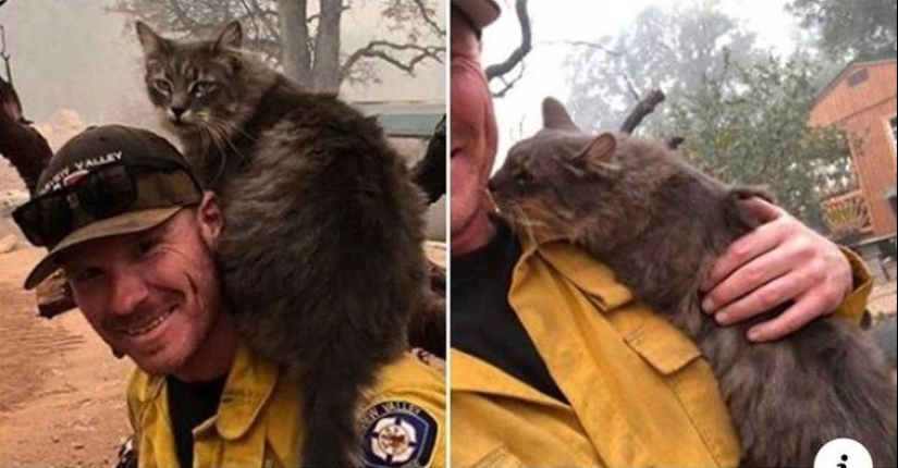 The world is better than you think: 35 emotional photos that prove it The world is better than you think: 35 emotional photos that prove it