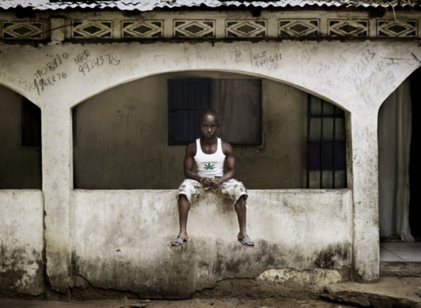 The world of bodybuilders