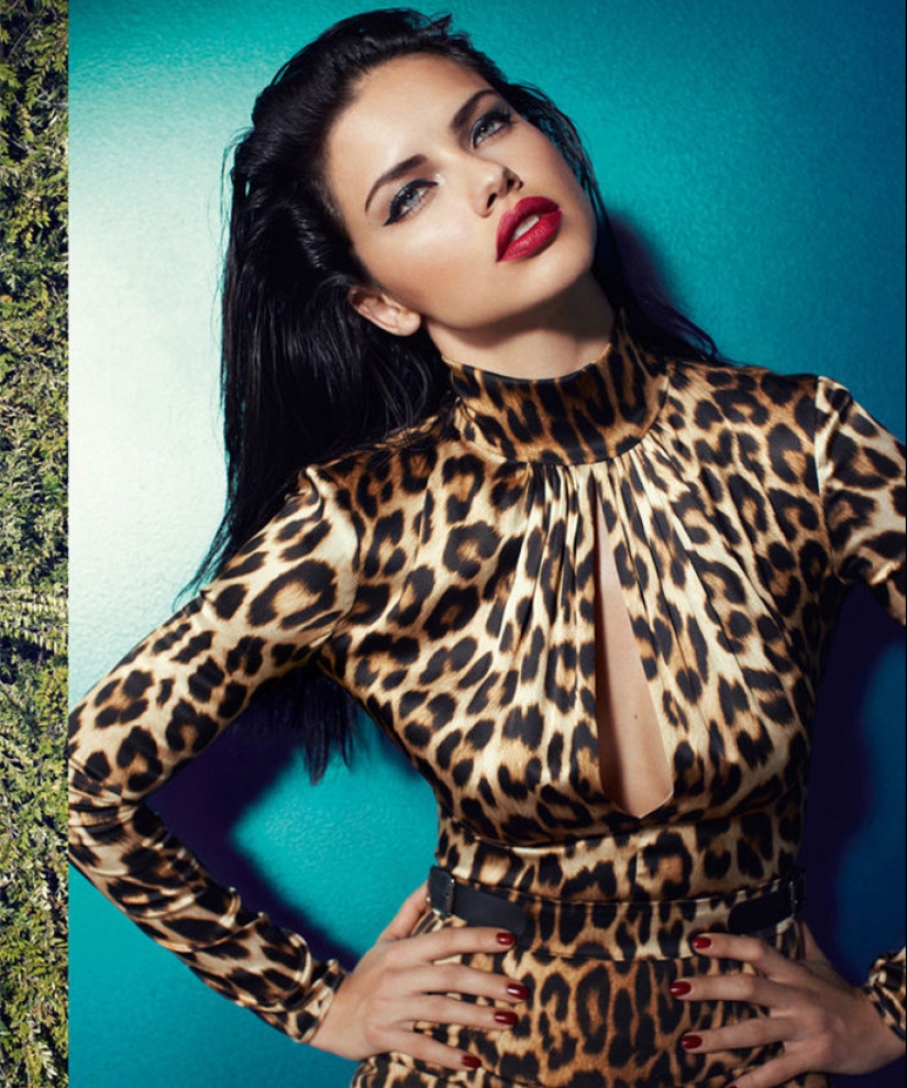 The world's most beautiful brunettes The world's most beautiful brunettes