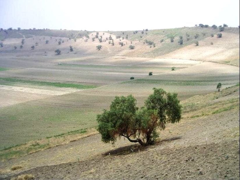 The Xico Crater is a grandiose natural wonder on the outskirts of Mexico City
