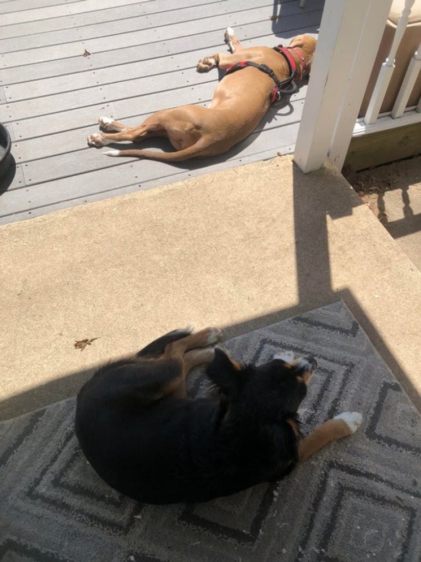 There are only 2 types of girls in the world, and here are 15 proofs There are only 2 types of girls in the world, and here are 15 proofs