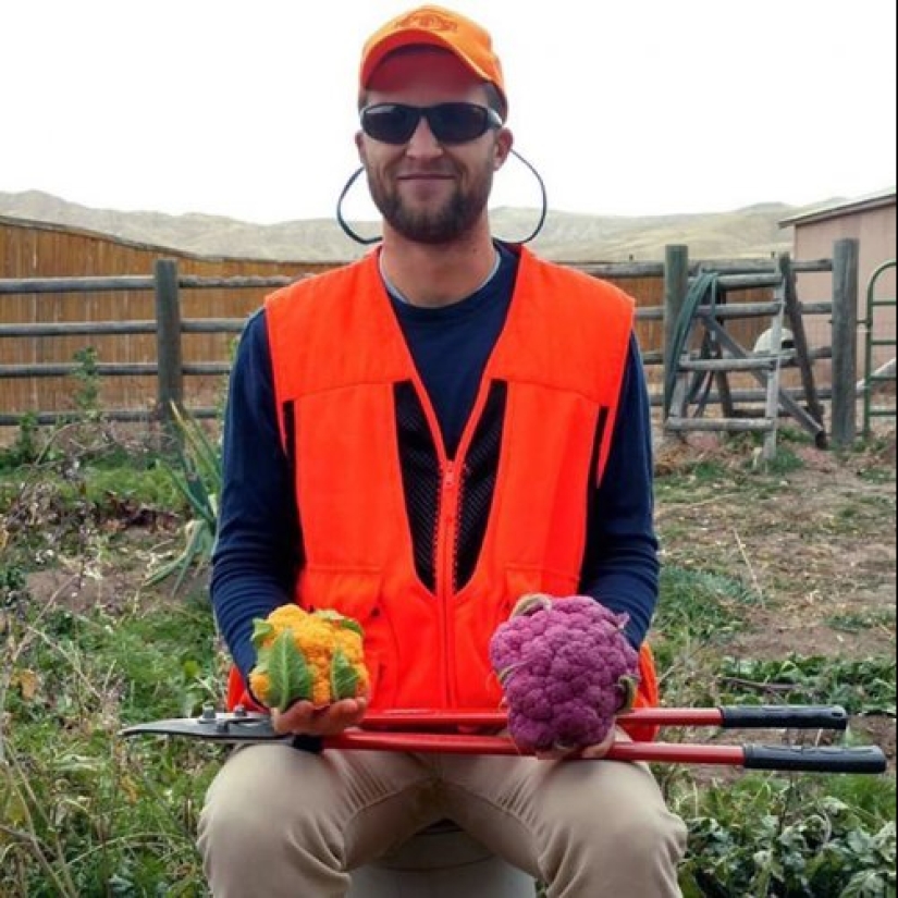 There is a hunt for carrots, or Gardeners with their glorious trophies There is a hunt for carrots, or Gardeners with their glorious trophies