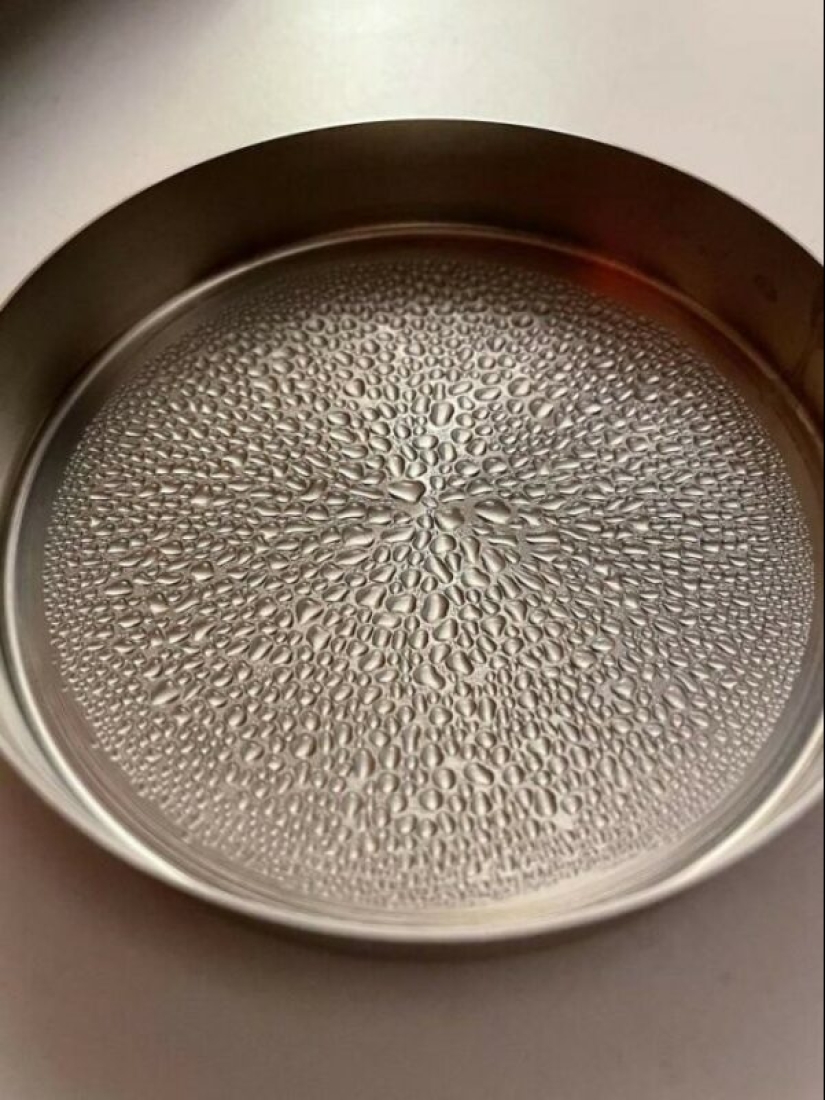 There is a paradise for perfectionists, and it is in these 22 photos