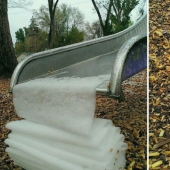 There is perfection in the world: 20 photographic delights for the eyes of a perfectionist