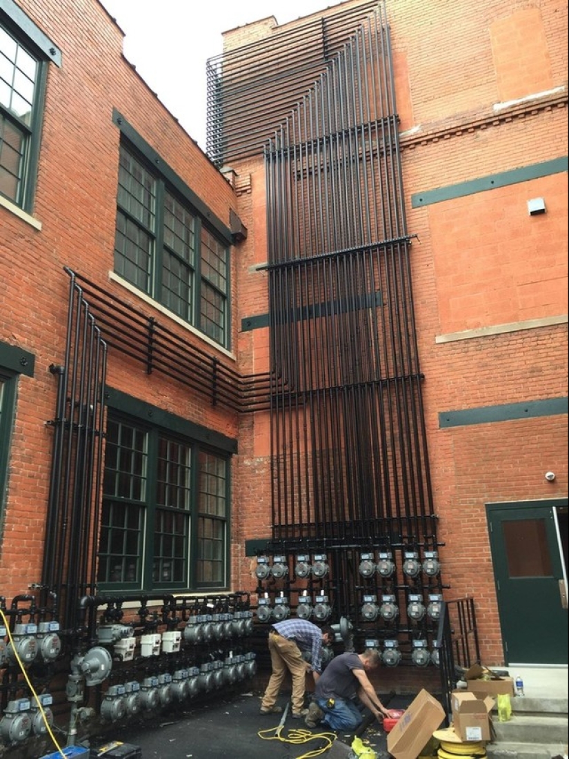 There is perfection in the world: 20 photographic delights for the eyes of a perfectionist