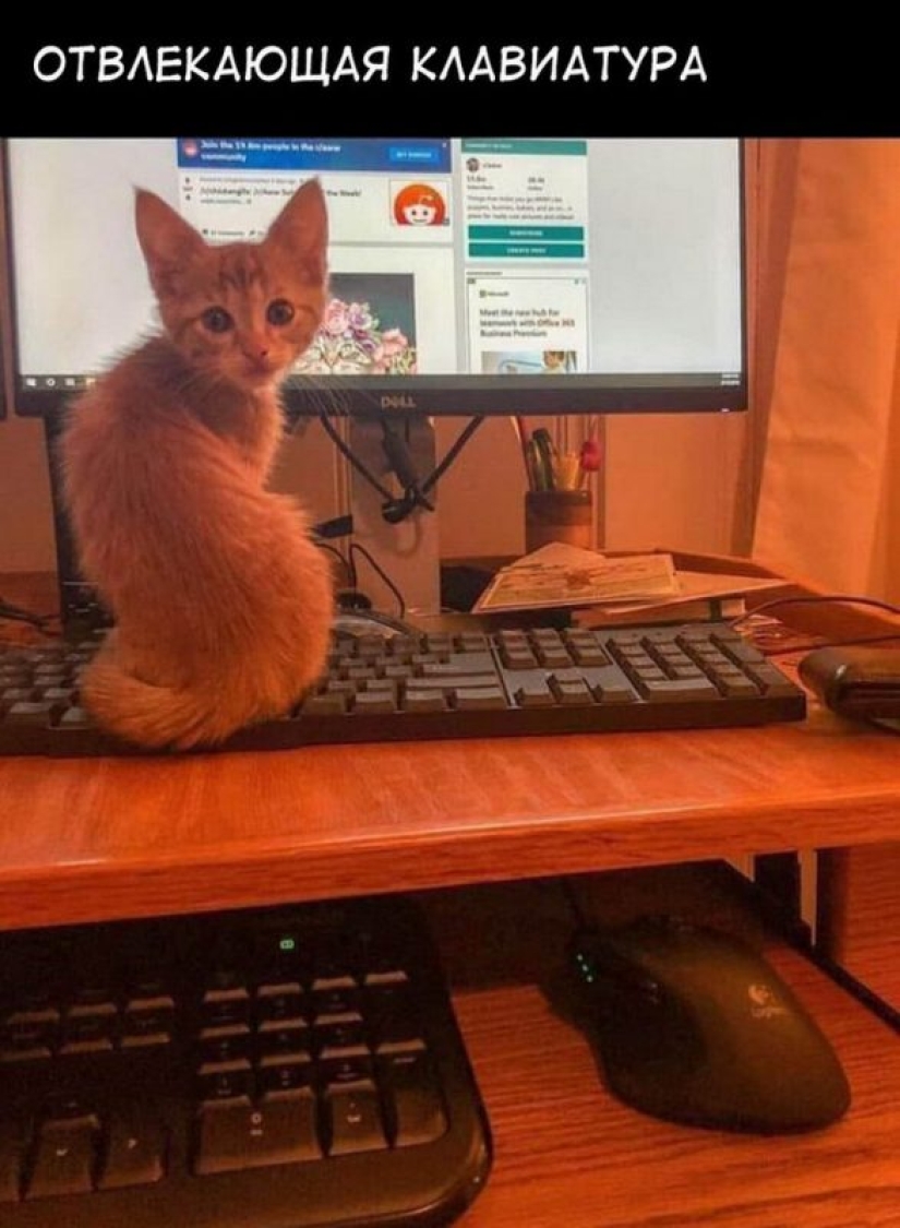 These people are geniuses: the bright examples of non-standard solutions to the problems