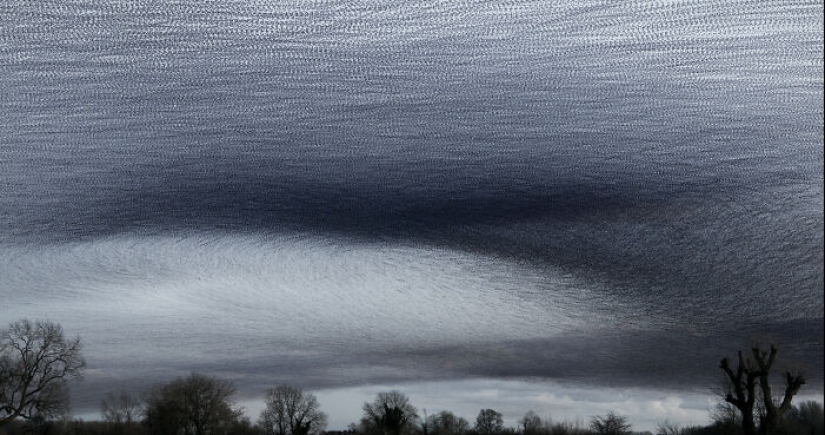 This Artist Captured 20 Mesmerizing Photos That Turn Bird Migration Into A Work Of Art
