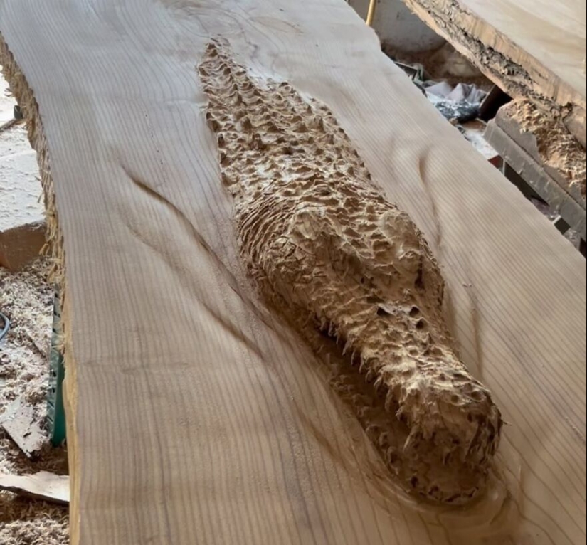 This Artist Uses A Chainsaw To Create Unbelievably Detailed Sculptures This Artist Uses A Chainsaw To Create Unbelievably Detailed Sculptures