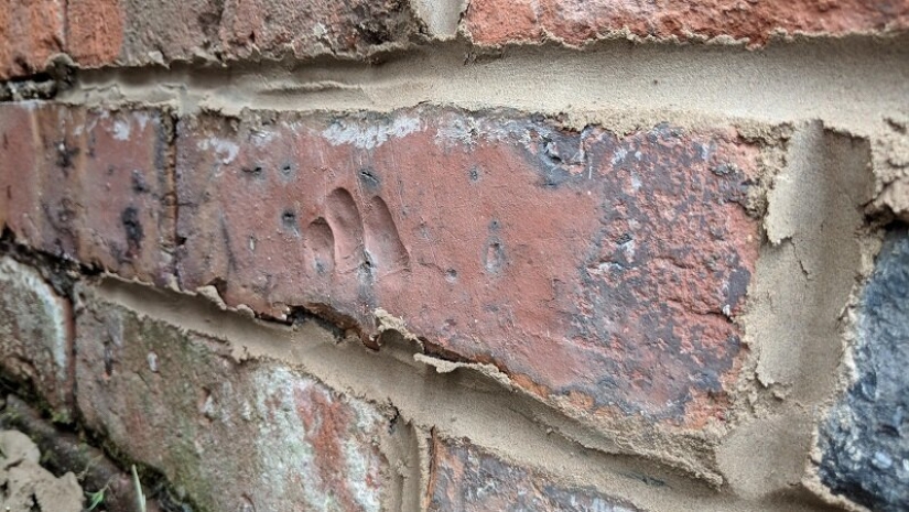 This incredible world! 17 pictures that will surprise you This incredible world! 17 pictures that will surprise you