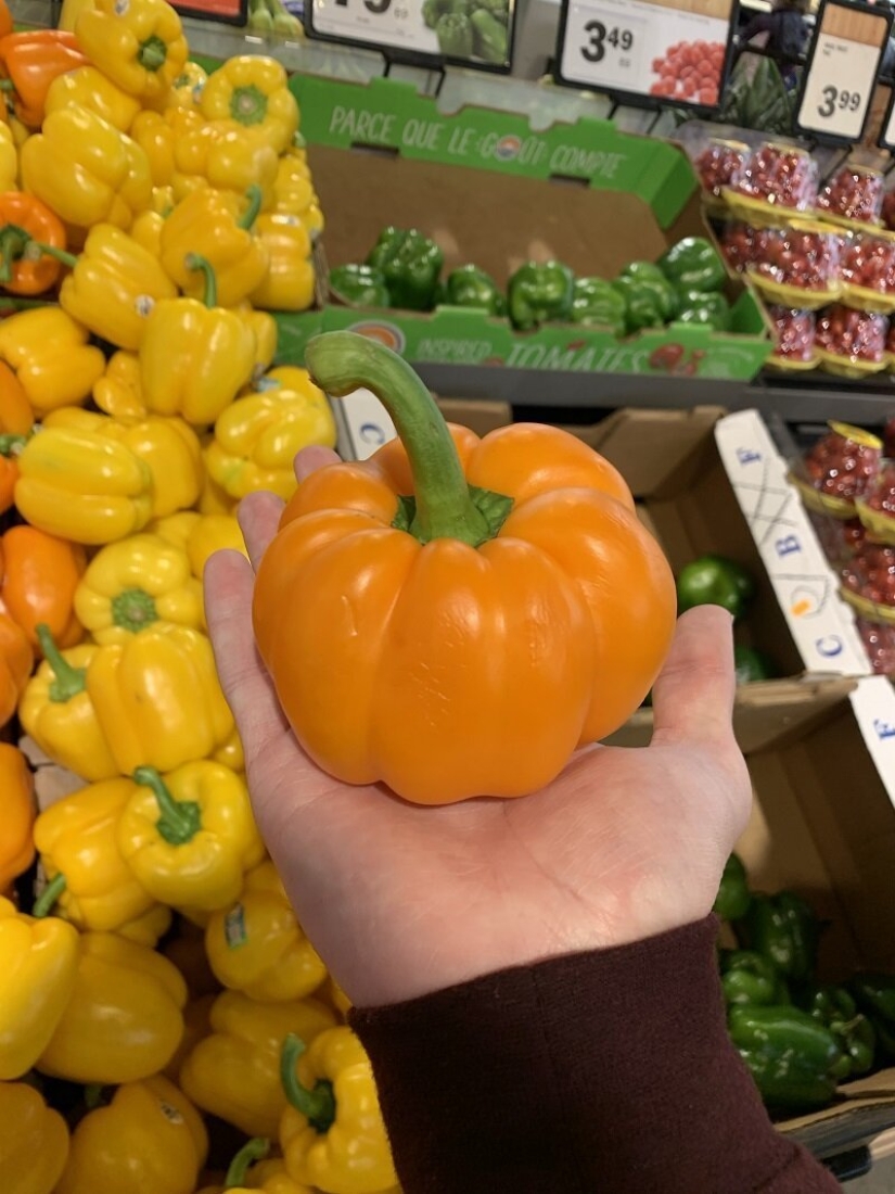 This incredible world! 17 pictures that will surprise you This incredible world! 17 pictures that will surprise you