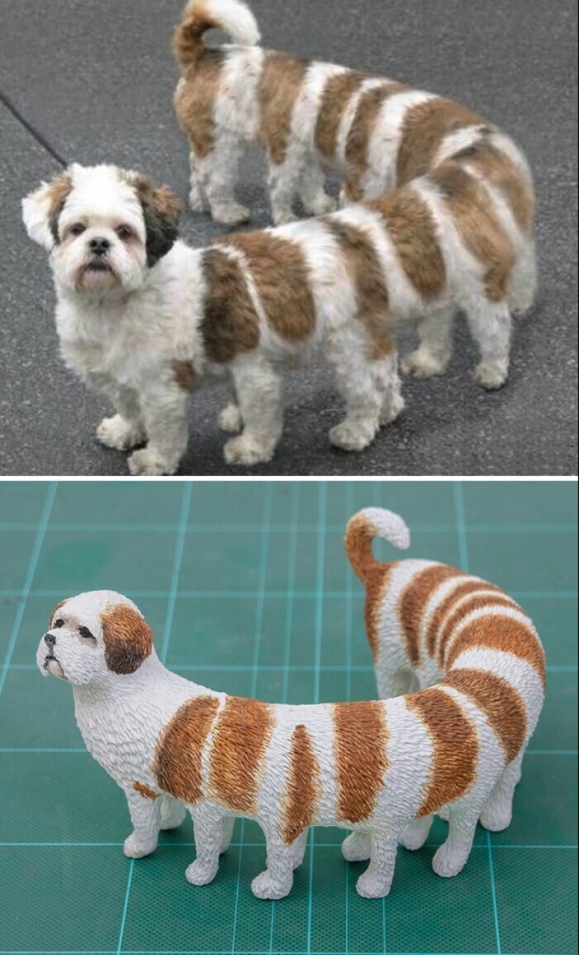 This is a must see: 50 amusing animal figures based on Internet memes