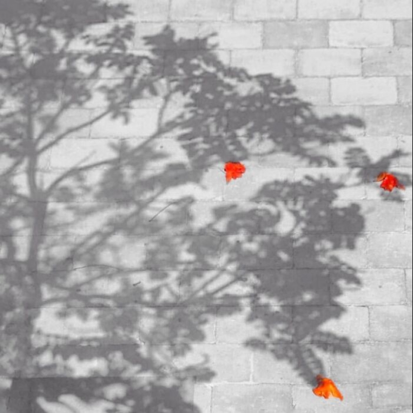 This Photographer Finds Extraordinary Aesthetics In Capturing Spontaneous Moments This Photographer Finds Extraordinary Aesthetics In Capturing Spontaneous Moments