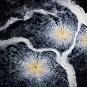 Through the eyes of the Vikings