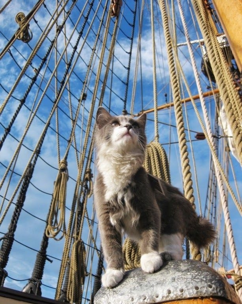 Timothy Dexter's Story of Getting Rich Through Stupidity