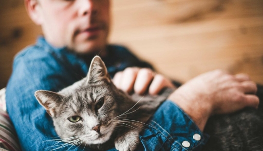 Tips for Cats and dogs care Man