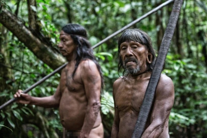 Tireless hunters of the jungle: the Amazonian tribe of waorani