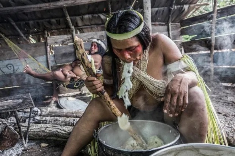 Tireless hunters of the jungle: the Amazonian tribe of waorani