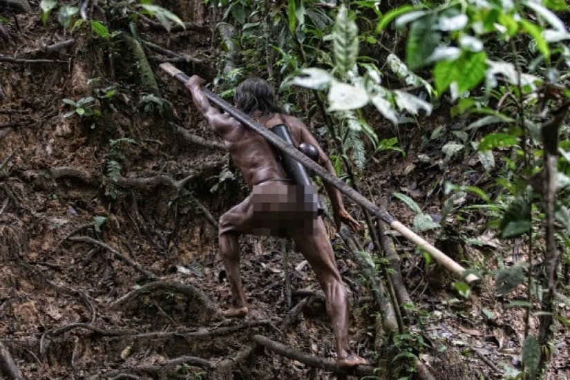 Tireless hunters of the jungle: the Amazonian tribe of waorani