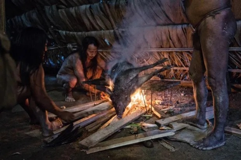 Tireless hunters of the jungle: the Amazonian tribe of waorani