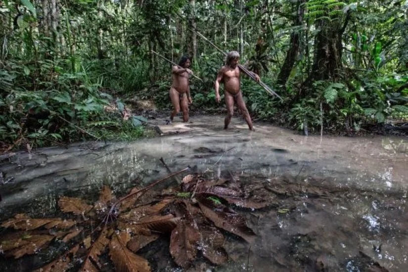 Tireless hunters of the jungle: the Amazonian tribe of waorani
