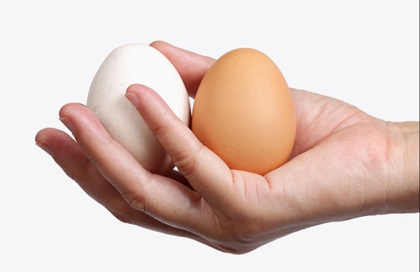 "To shave or not to shave?": all the pros and cons of hair removal in the male groin