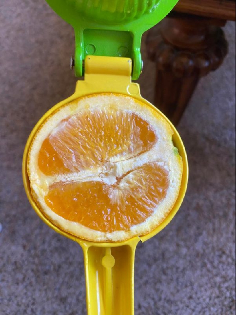 To the delight of the perfectionist: 18 photos, which is nothing to complain about To the delight of the perfectionist: 18 photos, which is nothing to complain about