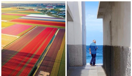 To the delight of perfectionists: 22 photos in which EVERYTHING is fine