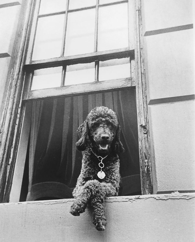 Todd Webb es un fotógrafo icónico de la década de 1940 que nunca buscó la fama.