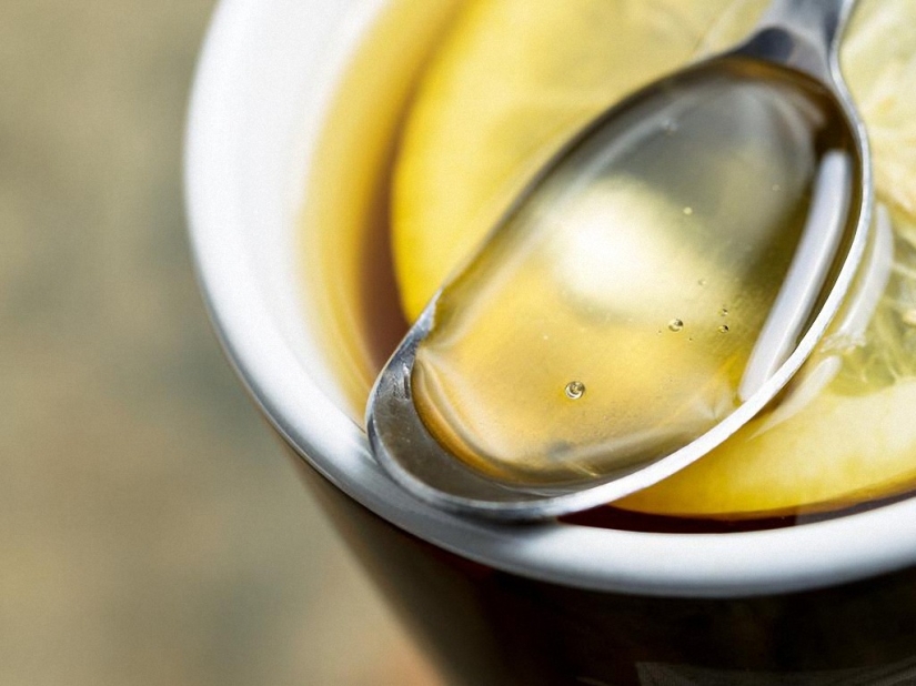 Todo lo que necesita saber sobre el virus de la gripe Todo lo que necesita saber sobre el virus de la gripe