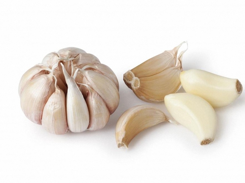 Todo lo que necesita saber sobre el virus de la gripe Todo lo que necesita saber sobre el virus de la gripe