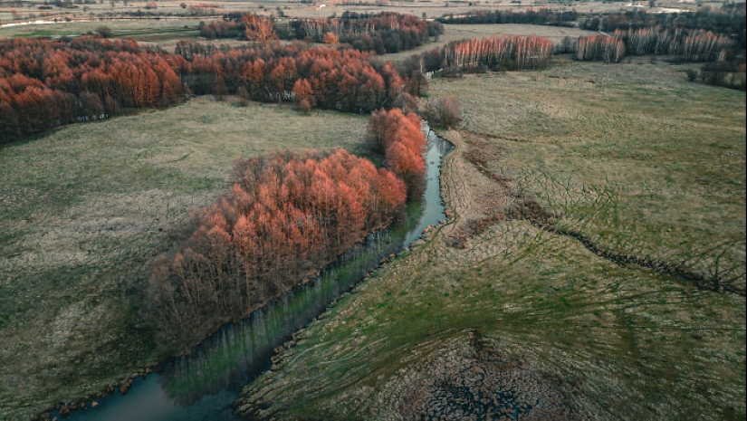 Tomé 10 fotos con dron de Koło y sus alrededores, y esta es la razón por la que creo que este pueblo merece más atención.