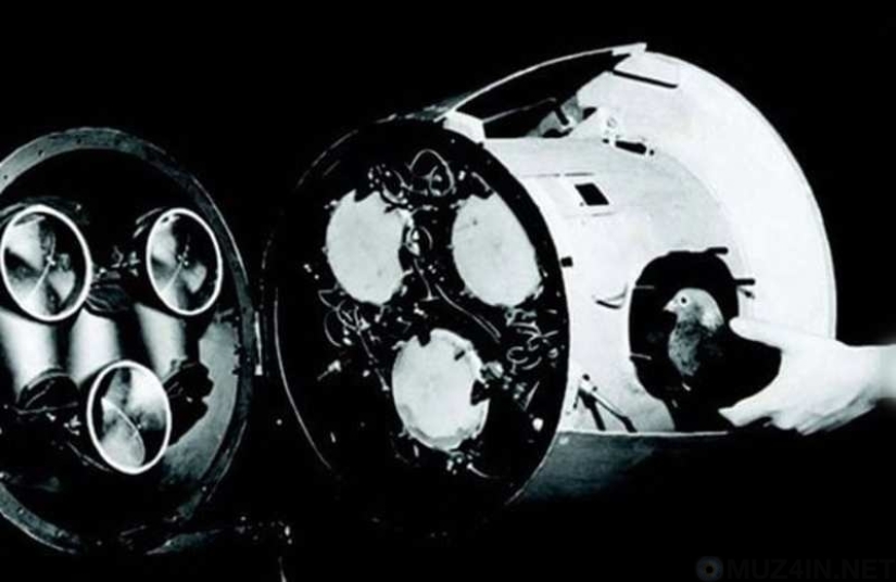 Top 10 bizarre military inventions that were not meant to get adopted