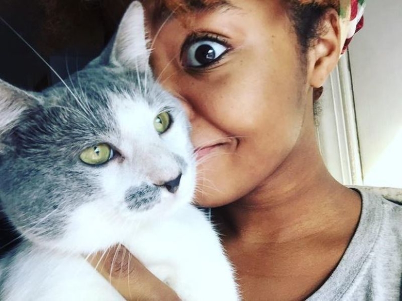 Top 20 de las cosas extrañas que hacen los dueños de gatos Top 20 de las cosas extrañas que hacen los dueños de gatos