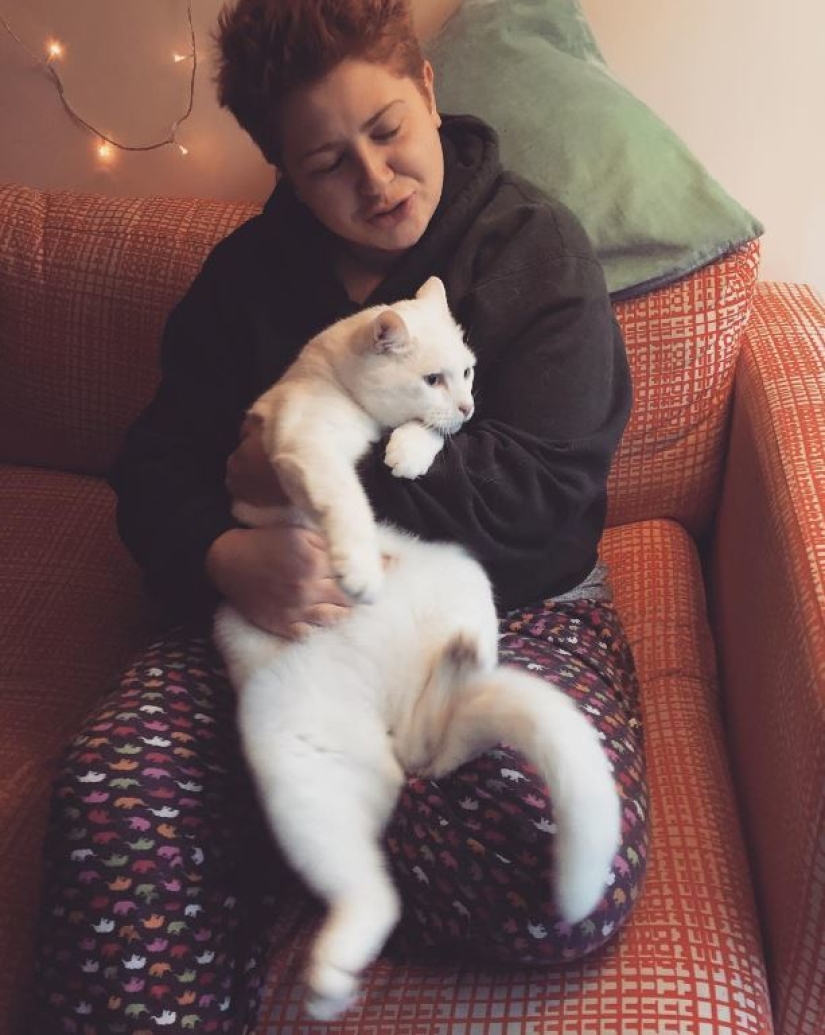 Top 20 de las cosas extrañas que hacen los dueños de gatos Top 20 de las cosas extrañas que hacen los dueños de gatos