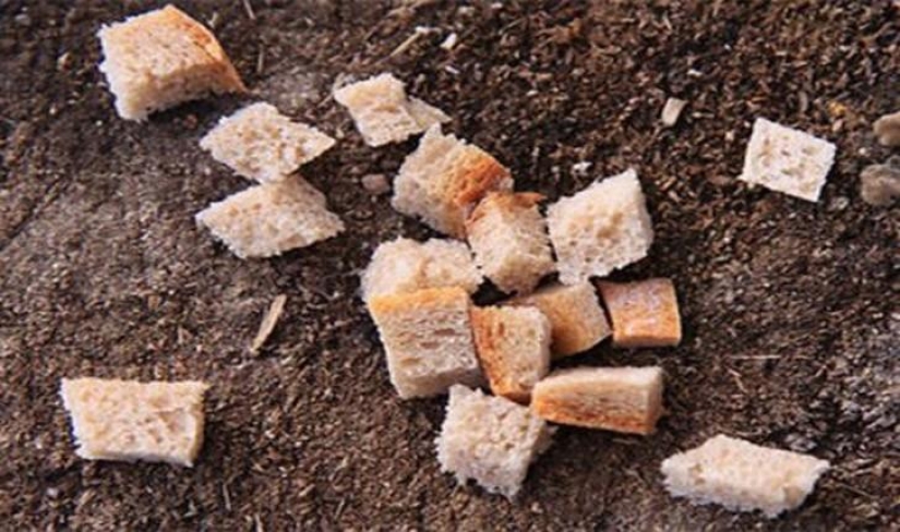 Top 25 tabú en el consumo de alimentos de todo el mundo que vale la pena recordar Top 25 tabú en el consumo de alimentos de todo el mundo que vale la pena recordar