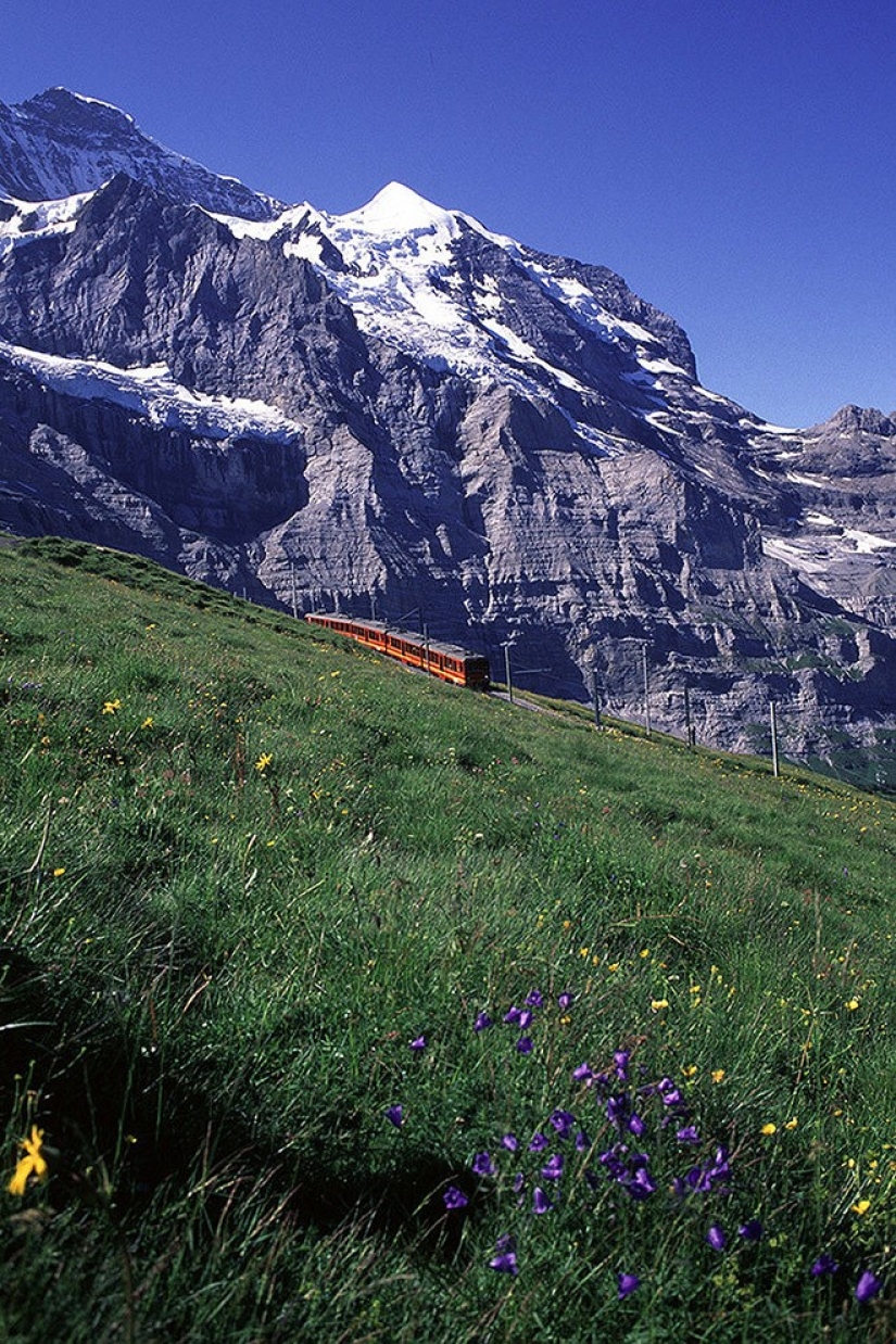 Top 5 de lo más inusual de los Ferrocarriles de Suiza Top 5 de lo más inusual de los Ferrocarriles de Suiza