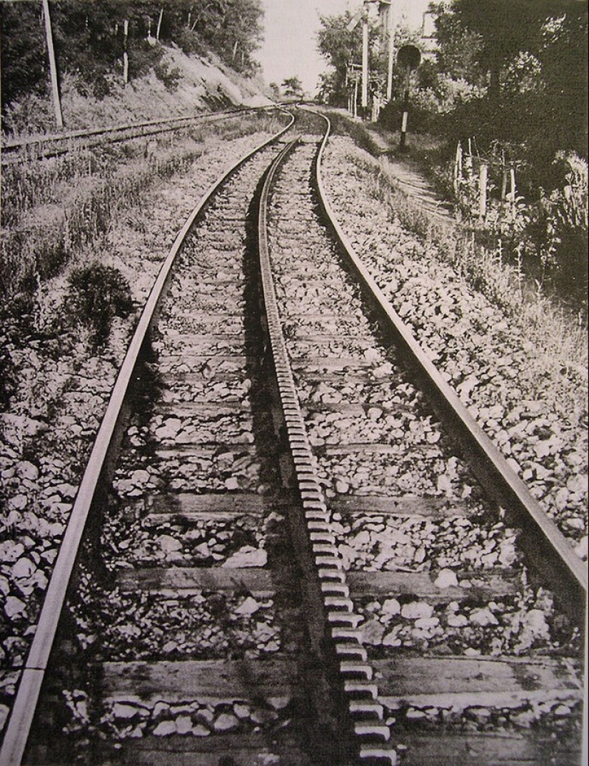 Top 5 de lo más inusual de los Ferrocarriles de Suiza Top 5 de lo más inusual de los Ferrocarriles de Suiza