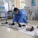 Touching sight: cute little panda bears in baskets