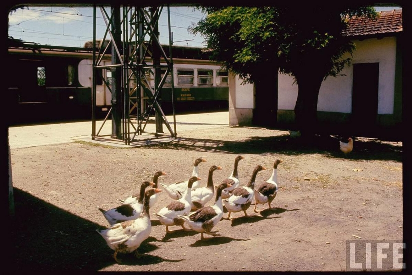 Traveling through Europe in 1970 by train