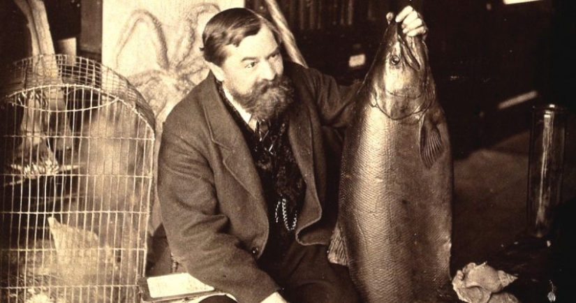 Two-legged scavengers: a new gastronomic trend has emerged in the world