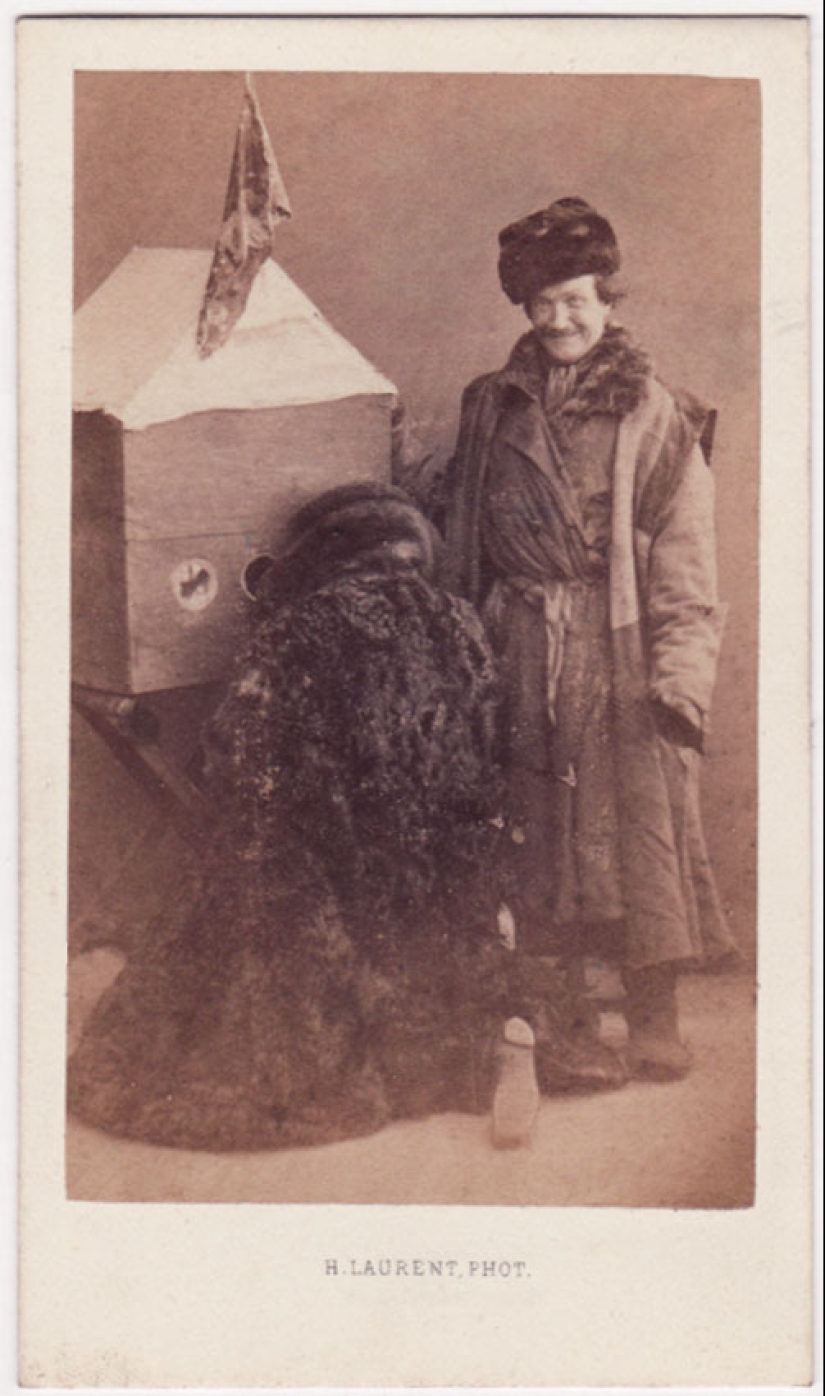 Types of Pre-revolutionary Russia